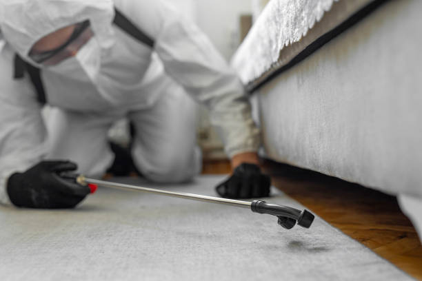 Professional Termite Control technician working in Aitkin, MN