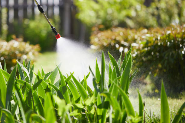 24/7 Emergency Termite Control experts in Aitkin, MN
