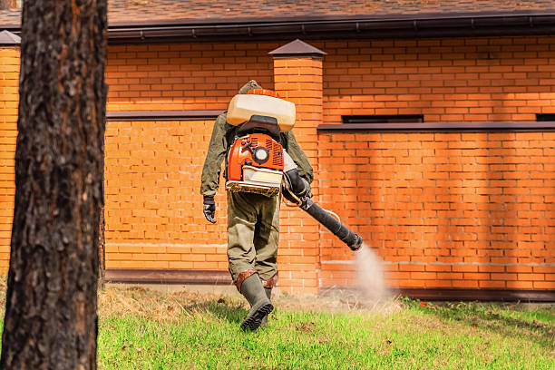 Top rated local Termite Control specialists in Aitkin, MN